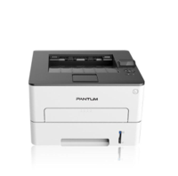 奔图(PANTUM) P3308DW 黑白A4激光打印机（单打印 自动双面打印）